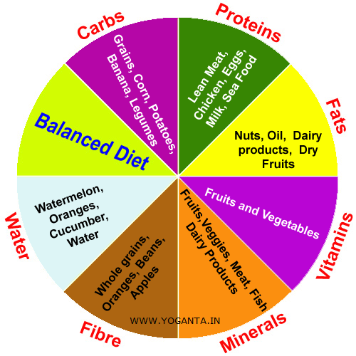 Balanced Diet: The Key To Healthy And Happy Life - Yoganta Blog
